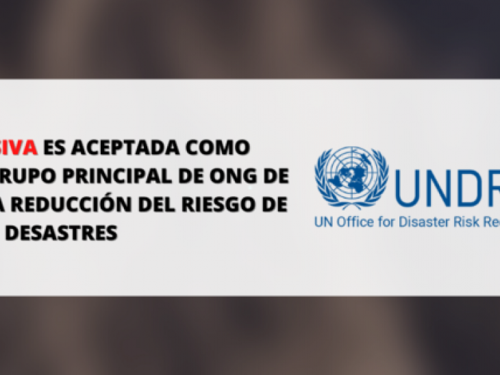 ONG Inclusiva es aceptada como miembro del Grupo principal de ONG de Sendai para la Reducción del Riesgo de Desastres